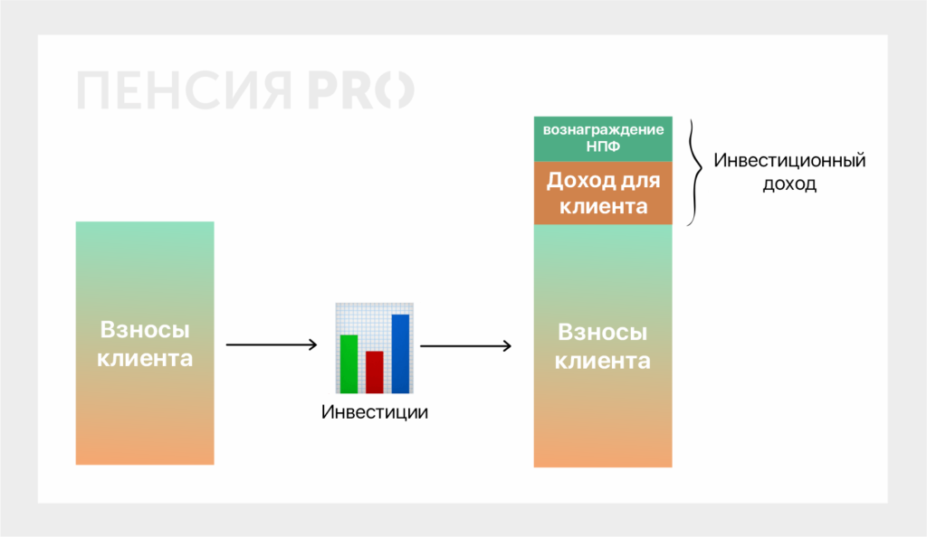 Какую доходность дают НПФ и как это узнать: подробная инструкция 