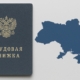 изображение 457